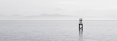 企业创新赋能的网页攻击器教程