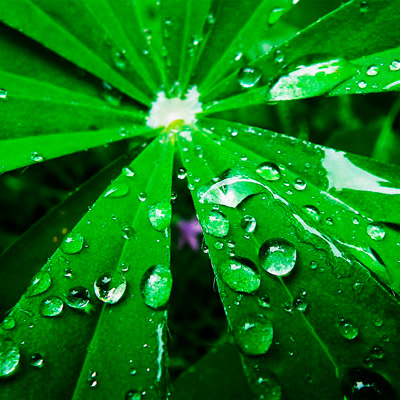 攻击网站在线工具