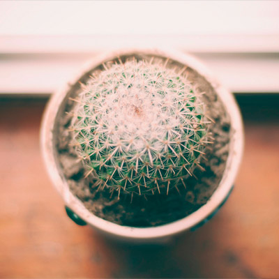 免费ddos平台攻击