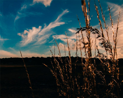 可爱的网页DDOS攻击平台